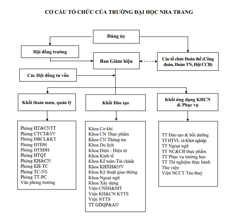 Cơ cấu tổ chức